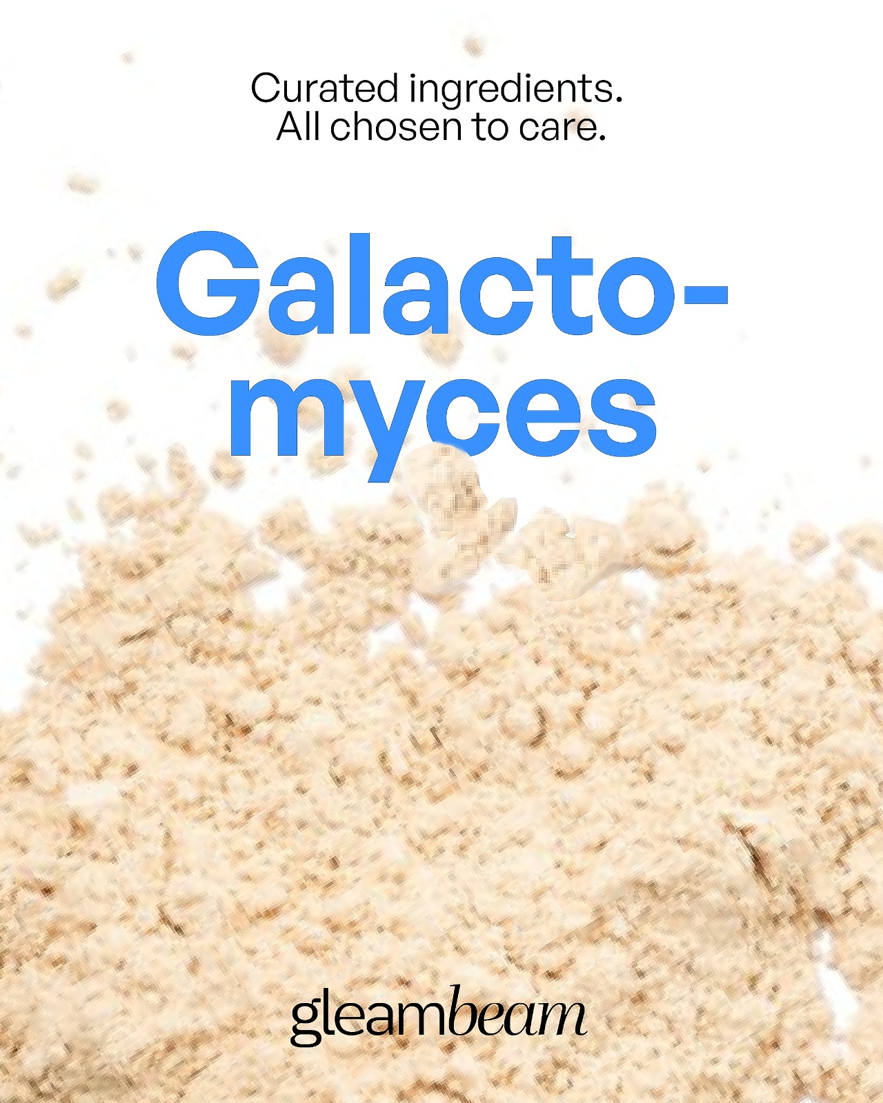Galactomyces